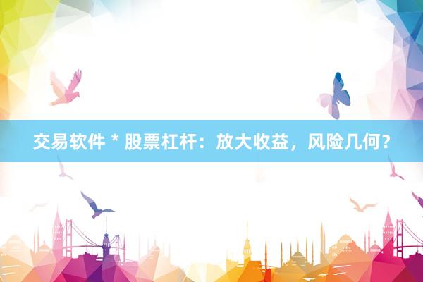 交易软件 * 股票杠杆：放大收益，风险几何？