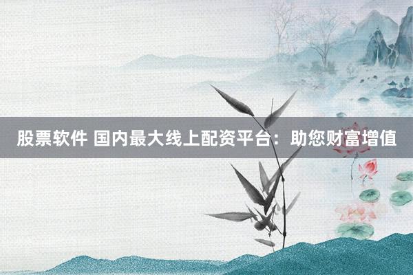 股票软件 国内最大线上配资平台：助您财富增值