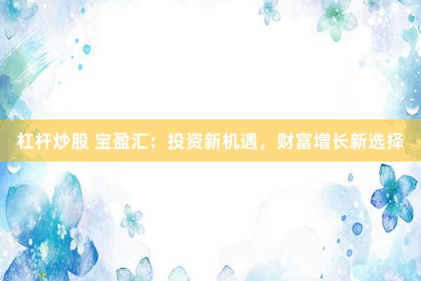 杠杆炒股 宝盈汇：投资新机遇，财富增长新选择