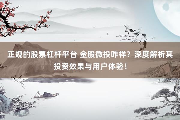 正规的股票杠杆平台 金股微投咋样？深度解析其投资效果与用户体验！