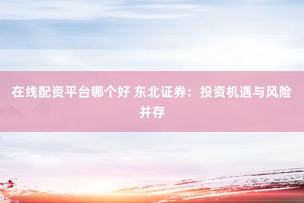 在线配资平台哪个好 东北证券：投资机遇与风险并存