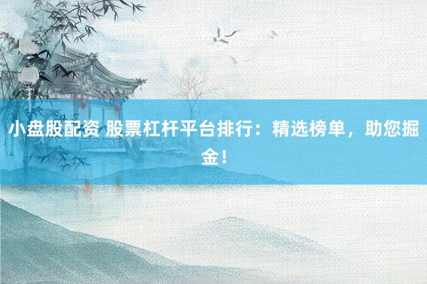 小盘股配资 股票杠杆平台排行：精选榜单，助您掘金！