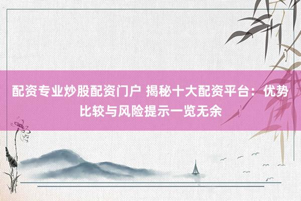配资专业炒股配资门户 揭秘十大配资平台：优势比较与风险提示一览无余