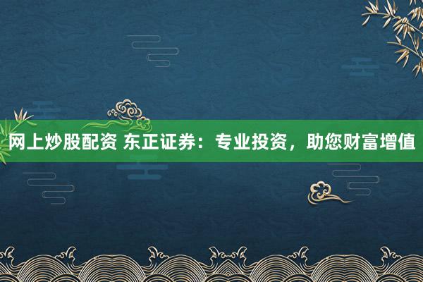 网上炒股配资 东正证券:专业投资,助您财富增值