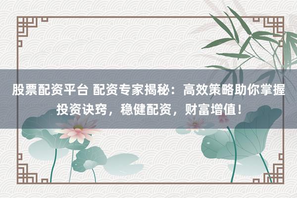股票配资平台 配资专家揭秘:高效策略助你掌握投资诀窍,稳健配资,财富增值!