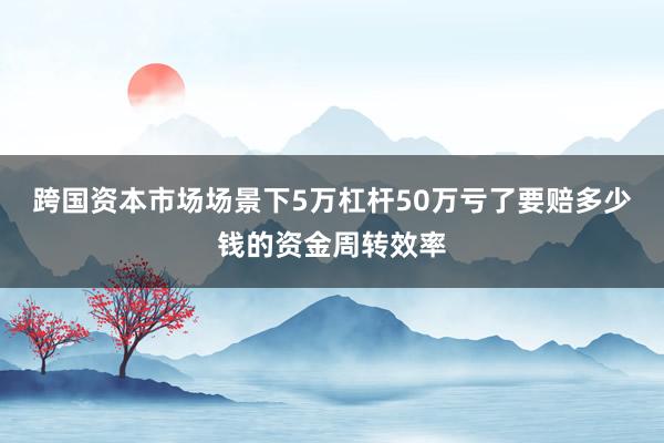跨国资本市场场景下5万杠杆50万亏了要赔多少钱的资金周转效率