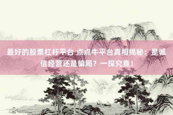 最好的股票杠杆平台 点点牛平台真相揭秘：是诚信经营还是骗局？一探究竟！