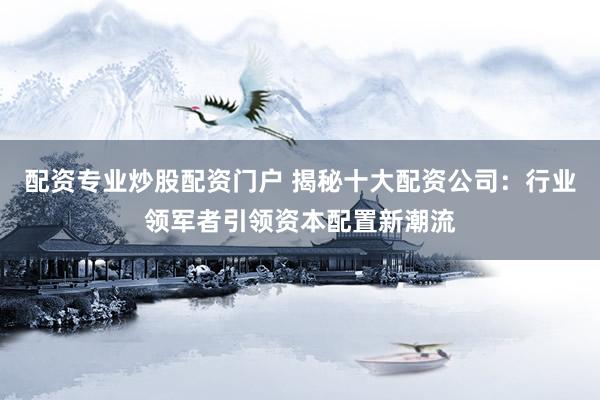 配资专业炒股配资门户 揭秘十大配资公司：行业领军者引领资本配置新潮流